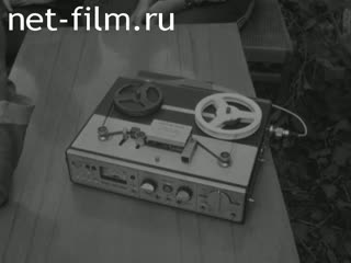 Newsreel Volga lights 1981 № 18 About sport in general and sports orientation in particular