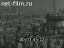 Киножурнал Нижнее Поволжье 1977 № 31