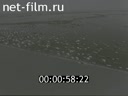Фильм Весна на большой реке. (1999)