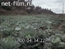 Film Subsistence agriculture minavtodora RSFSR. (1983)