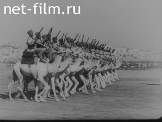 Киножурнал Фокс Тененде Вохеншау 1937 № 33
