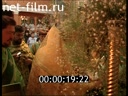 Footage Ark with the relics of Seraphim of Sarov in the Crimea. (2005)