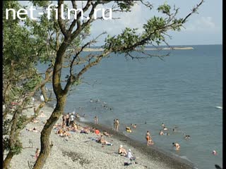 The Black sea coast.
The swimming season. (2009)