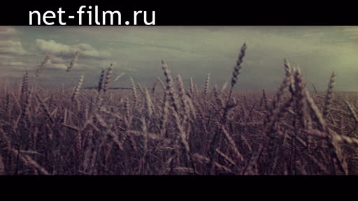 Footage Harvesting wheat. (1986)