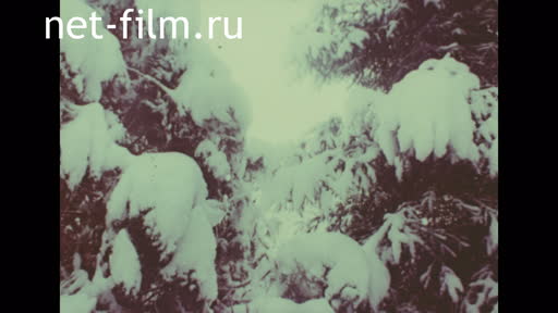Footage Winter Alma-Ata. (1987)