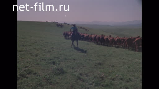 Horse breeding in Kazakhstan. (1978)