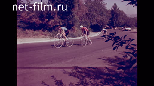 Сюжеты Велогонки. (1981 - 1982)