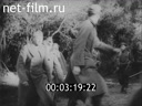 Киножурнал Новости Юнайтед 1944 № 89