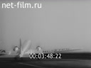 Newsreel The march of time 1936 № 21485