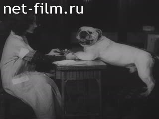 Киножурнал Новости Юниверсал 1930 № 29072