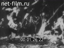 Киножурнал Новости Юнайтед 1943 № 37
