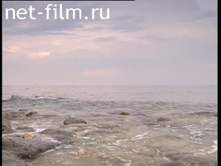 Footage The black sea. (2005)