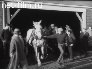 Newsreel The march of time 1930 № 21444