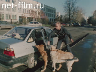 Film A Dog.. (2003)