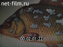 Фильм Прогрессивные методы борьбы с болезнями и токсикозами рыб.. (1989)