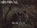 Фильм Земля и на ней человек.. (1972)