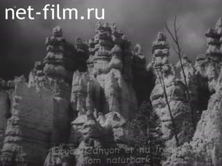 Киножурнал По разным местам 1937 № 32