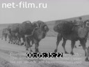 Киножурнал По разным местам 1938 № 48