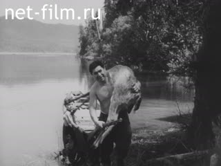 Киножурнал По разным местам 1937 № 41