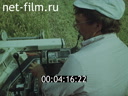 Film Energy and biological productivity.. (1991)
