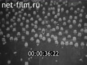 Film The struggle for the creation of a Marxist party in Russia. (1984)