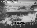 Киножурнал Остланд Вохе 1943 № 23846