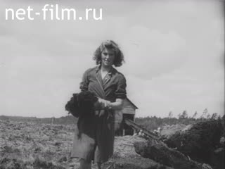 Киножурнал Остланд Вохе 1943 № 28297