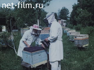 Film Bee stories. (1987)