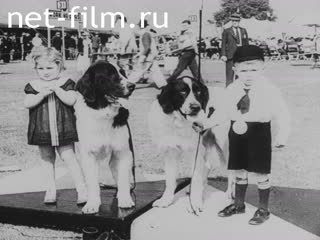 Киножурнал Бавария Тонвохе 1938 № 24