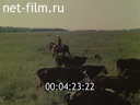 Film The Tryoparyovs' Farm.. (1982)