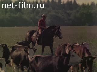 Film The Tryoparyovs' Farm.. (1982)