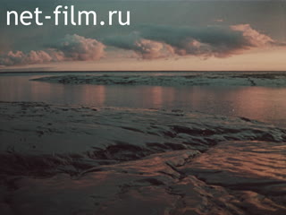 Фильм Сквозь безмолвие (Очарованный Арктикой). (1987)
