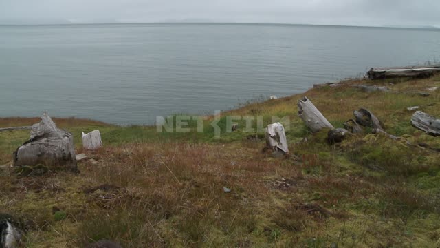 Panorama of seashore and administrative abandoned buildings on stilts. Russian North, knowledge,...