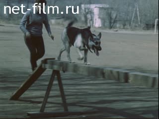 Сюжеты Служебное собаководство. (1986)