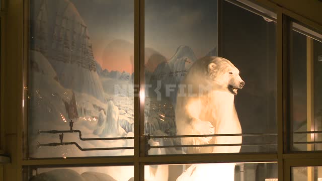 The stuffed polar bear in the window. Russian North, bear, nature, animal, fauna.