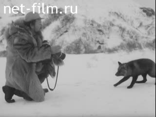 Footage Landscapes Of Kamchatka. (1970 - 1979)