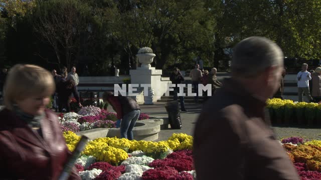 People walk around the flowers. Sevastopol.
People.
Flowers.
The city.
Broom.
Cleaning.
The...