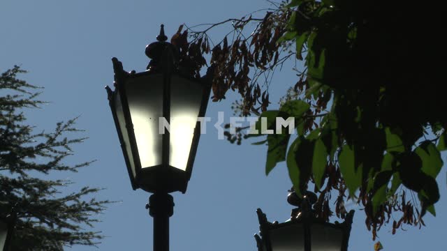 A street lamp. Sevastopol.
Lamp.
Evening.
Summer.
Leaves.
Sky.
Architecture.