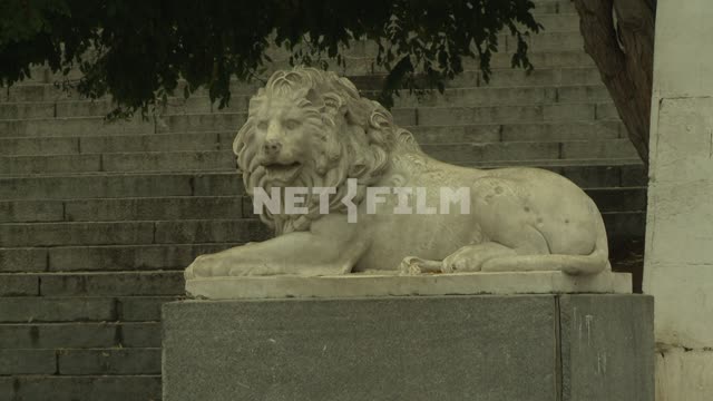 Statue of a lion. Sevastopol.
Statue.
Architecture.
Animals.