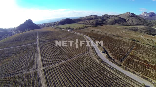 Круговое панорамирование с птичьего полета долины и виноградников. Коктебель, долина, поля,...