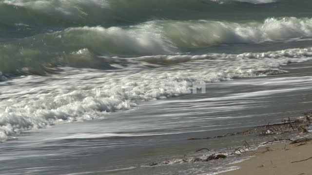 Surf. Koktebel, algae, sea, wave, surf, foam, sand, beach.