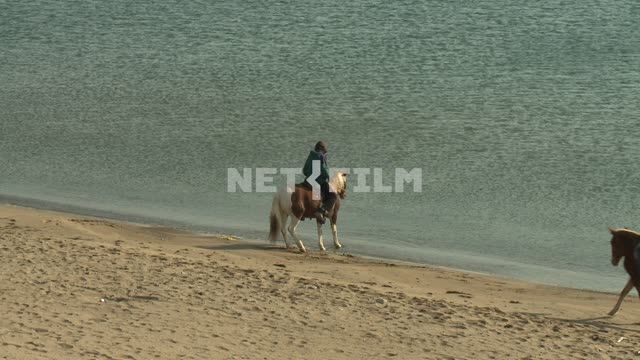 Riders on horseback on the beach. Koktebel, sea, sand, beach, wave, rider, horse,steppe, Sunny day.