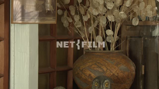 The stones on the shelf next to a vase of dried flowers in the house-Museum M. A. Voloshin...