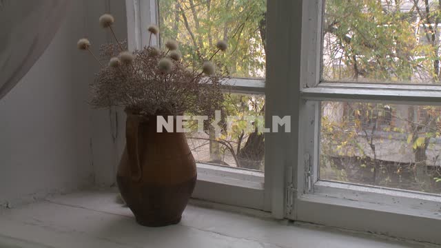 Vase with dried flowers on the windowsill in the house Voloshin M. A. Koktebel, vase, flowers,...