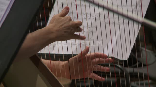 Musical instruments close up.
Harp. Orchestra.
Musicians.
Tools.
Harp.
Strings.
Notes.
Hands.