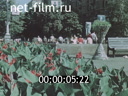 Footage Kiev. (1975 - 1985)