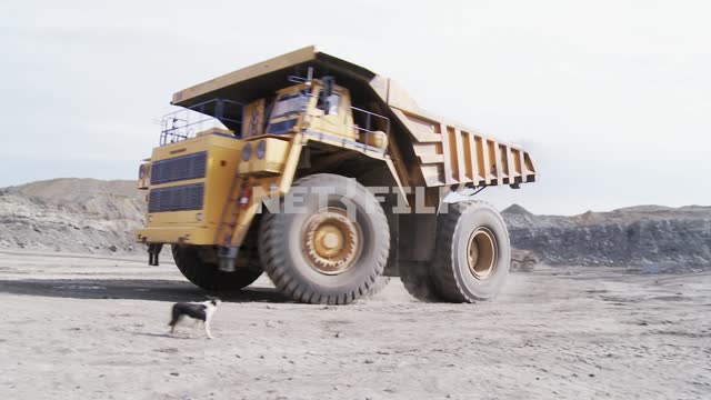 The BelAZ-75170 mining dump truck moves along the road and drives up to the Bucyrus 495HD...