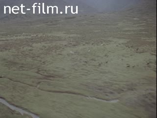 Footage Northern people (the everyday life of reindeer breeders and mushers). (1975 - 1985)