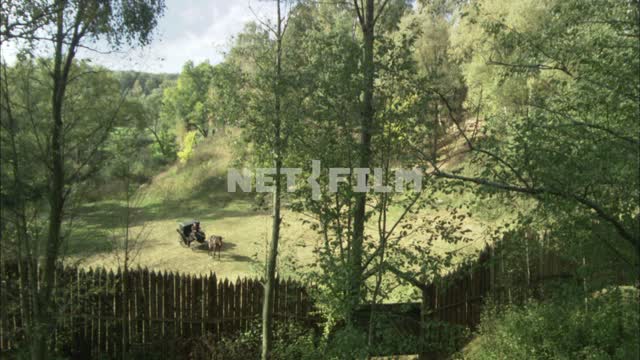 Wooden fence of the estate in the forest.
 Cart, horse, fence, gate, forest, secluded, trees.