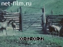 Footage Mongolia. (1980 - 1989)
